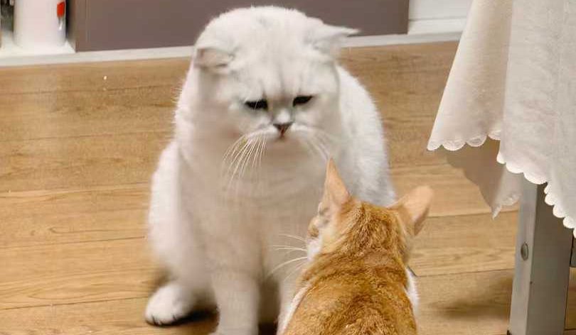 幸福就是我需要你陪，而你刚好也在