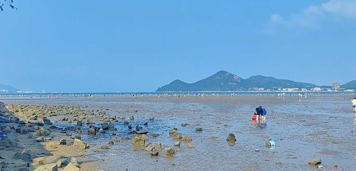 知道的是去赶海，不知道的以为去赶命。收获满满，期待下一次